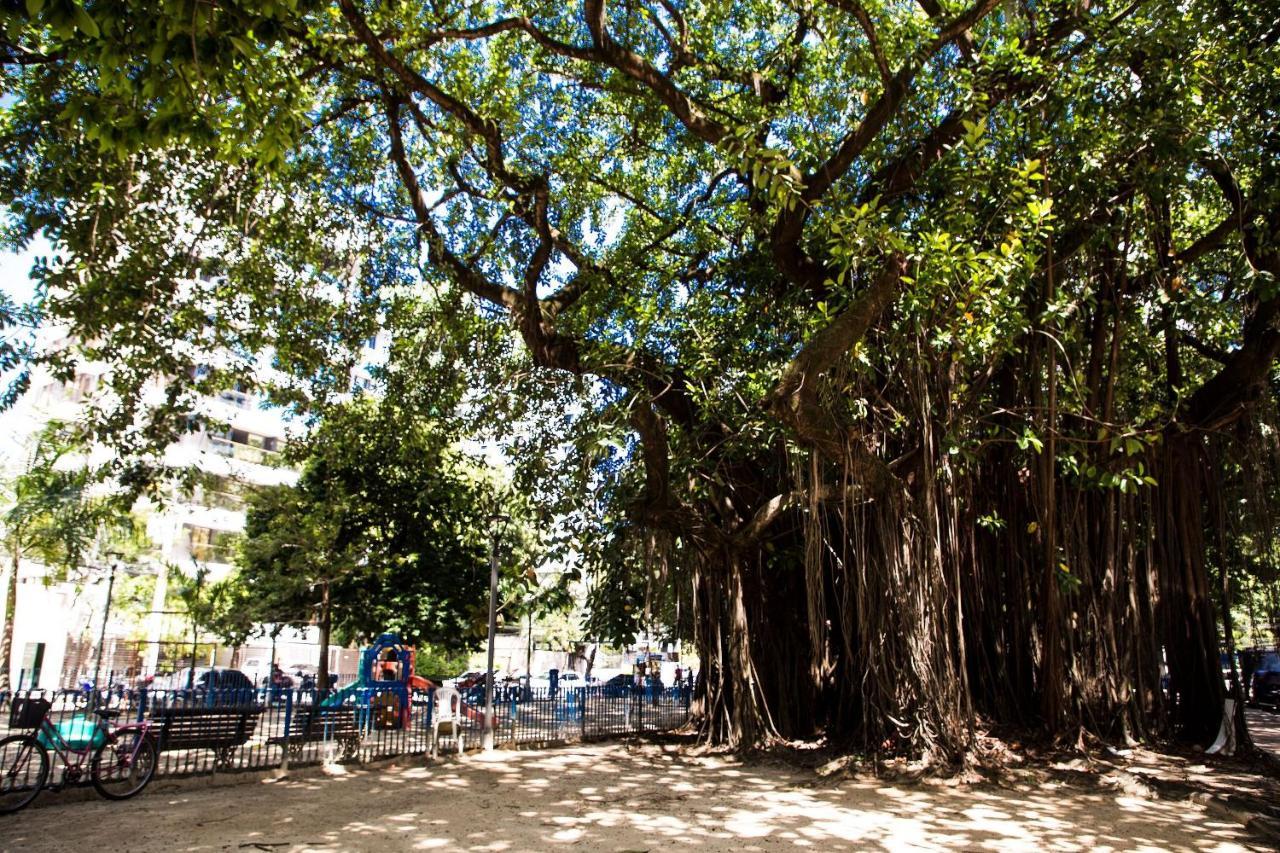Melhor Local Da Zona Norte Sem Taxas เฮซิเฟ ภายนอก รูปภาพ